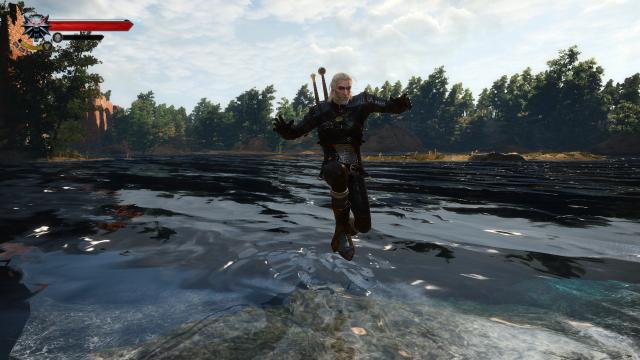 Стрибаємо в маловодних місцях / Jump in Shallow Water для The Witcher 3