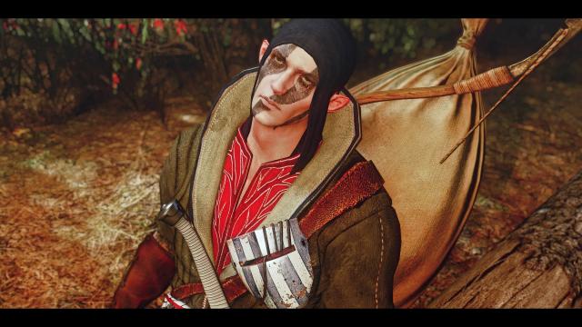 Поліпшені ельфи / Better Elves для The Witcher 3