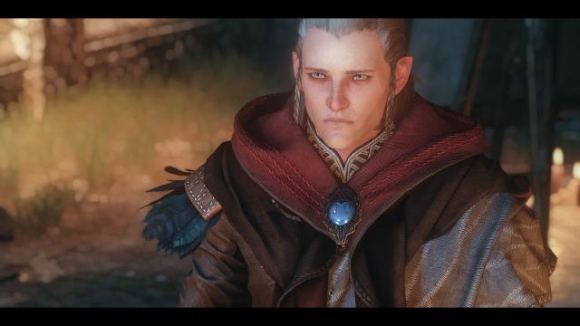 Поліпшені ельфи / Better Elves для The Witcher 3