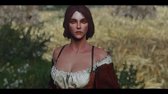 Поліпшені ельфи / Better Elves для The Witcher 3