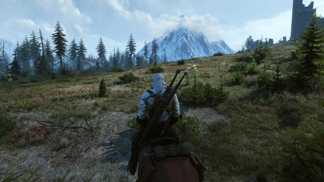 Красива трава / Beautiful Grass Mod для The Witcher 3