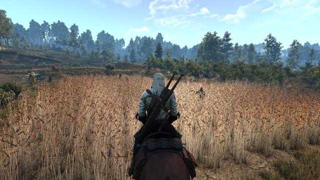 Красива трава / Beautiful Grass Mod для The Witcher 3