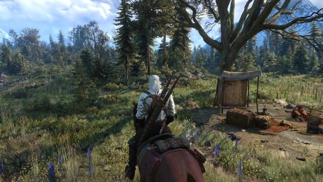 Красива трава / Beautiful Grass Mod для The Witcher 3