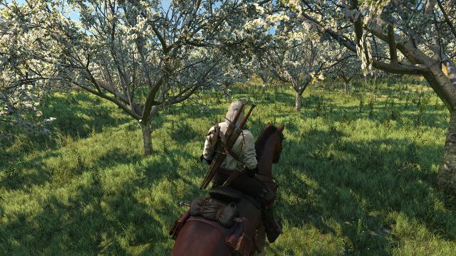 Красива трава / Beautiful Grass Mod для The Witcher 3