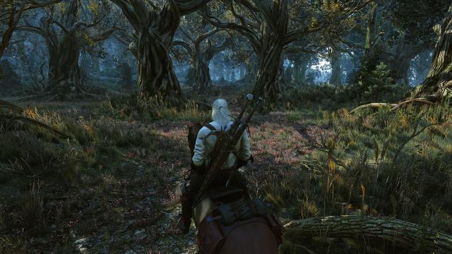 Красива трава / Beautiful Grass Mod для The Witcher 3