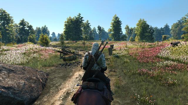 Красива трава / Beautiful Grass Mod для The Witcher 3