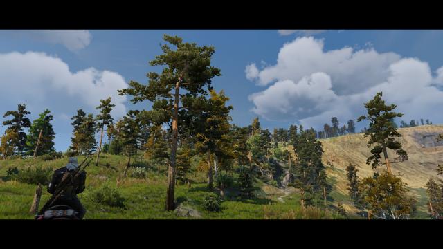 Красиві сосни / Rustic Pines для The Witcher 3