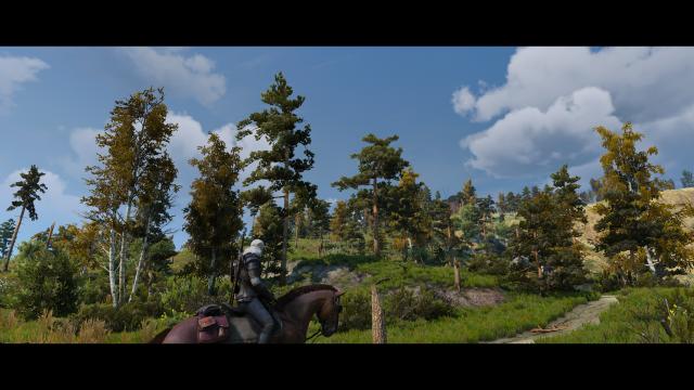 Красиві сосни / Rustic Pines для The Witcher 3