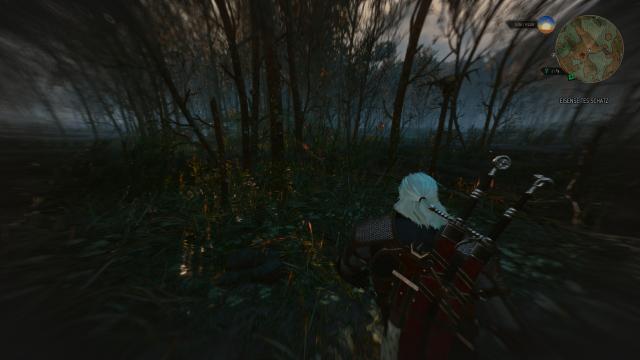 Камера з Е3 2014 / E3 2014 Camera Mod для The Witcher 3