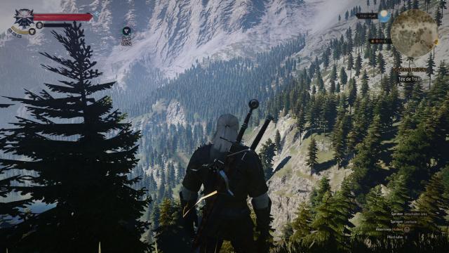 Отображение продолжительности Квена / Display Quen Duration для The Witcher 3
