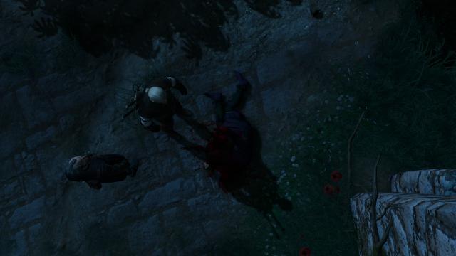 Вампіри не мають тіні / Vampires Have No Shadows для The Witcher 3