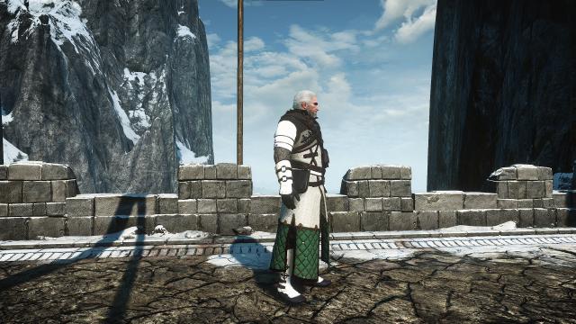 Polar Bear Grandmaster Ursine для The Witcher 3