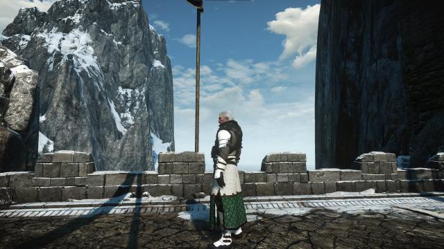 Polar Bear Grandmaster Ursine для The Witcher 3