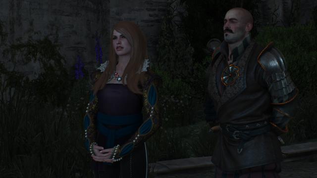 Elegant Anna Henrietta for The Witcher 3