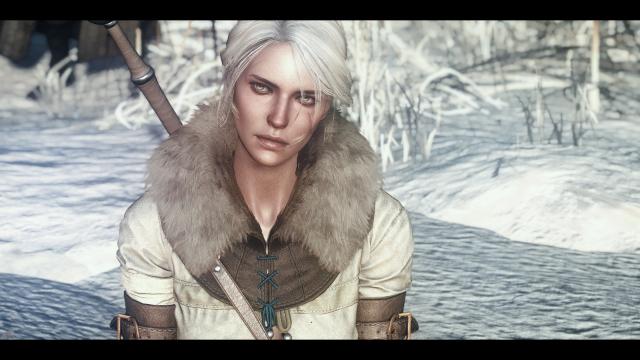 Natural Complexions для The Witcher 3