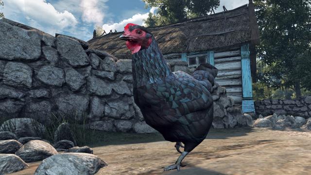 Ультраякісні текстури курок / UHD Chickens для The Witcher 3