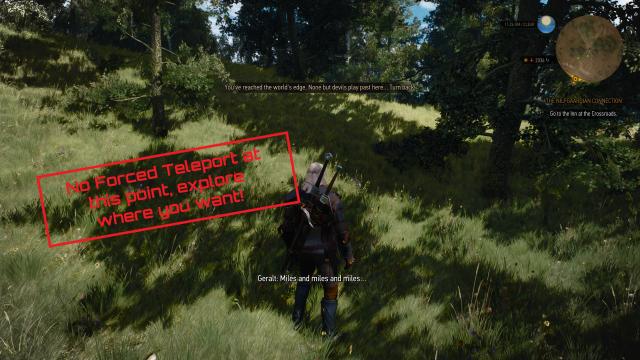 No Map Borders - Next-Gen for The Witcher 3 Next Gen