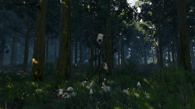 Landmarks of White Orchard для The Witcher 3 Next Gen