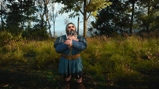 DLC - Mysterious Merchant and Gwent Card Dealer для The Witcher 3 Next Gen