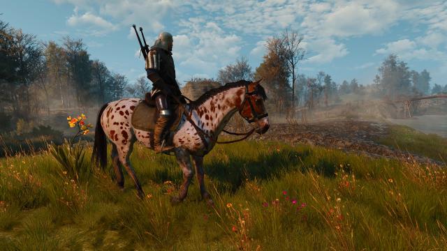 Majestic Mounts для The Witcher 3 Next Gen