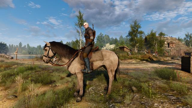 Majestic Mounts для The Witcher 3 Next Gen