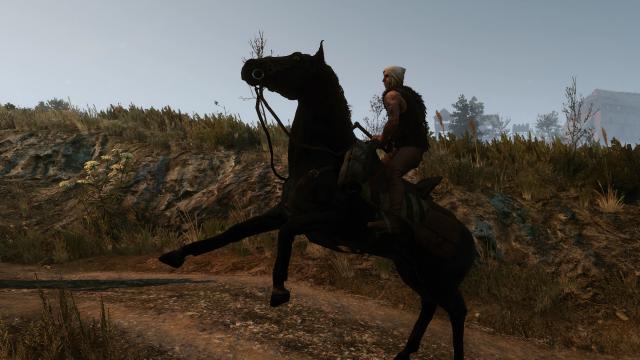 Majestic Mounts для The Witcher 3 Next Gen