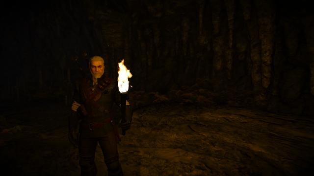 Natural Torchlight (NEXT GEN) for The Witcher 3 Next Gen