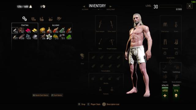 Stack Your Items - Next-Gen for The Witcher 3 Next Gen