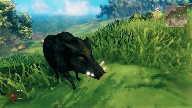 Черный кабан / Valheim Black Boar Texture