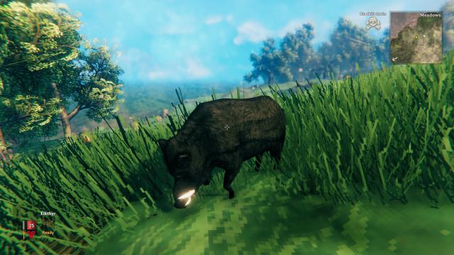 Черный кабан / Valheim Black Boar Texture для Valheim
