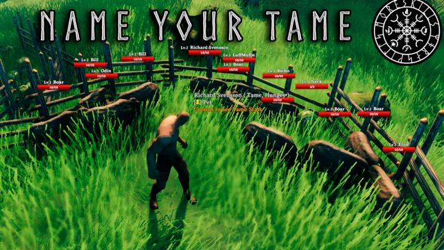 Перейменуємо приручених тварин / Name Your Tame для Valheim