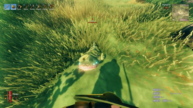 Вид от первого лица / First Person View