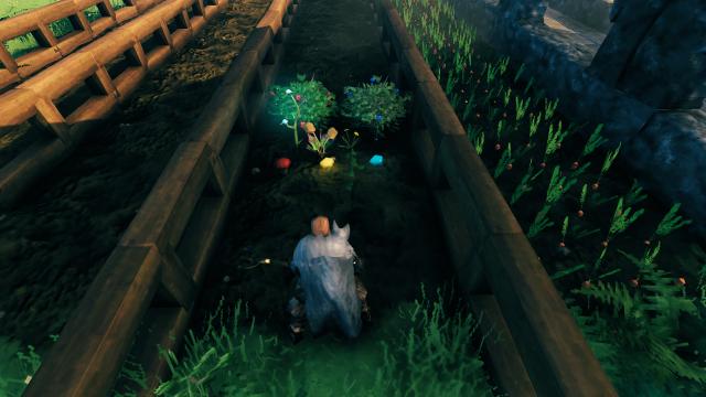 Plant Everything