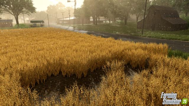 GIANTS Software Showed Cool Weather Effects for Farming Simulator 25